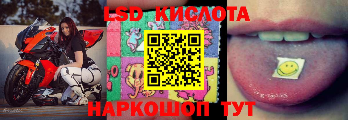 Лсд 25 Апатиты